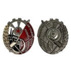 Копия Орден Трудового Красного Знамени Грузинской ССР