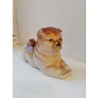 Собака Чау-чау ЛФЗ.