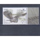 [1457] Беларусь 2005. Фауна.Птица года.Сова. Одиночный выпуск. MNH