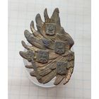 Фрагмент кокарды