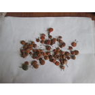 Конденсаторы