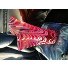 Ваза Неман красива