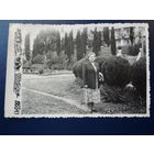Курорт Цхалтубо 1955 г.