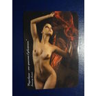 Календарик 2007 г.  ИПП "Новик"..Очарование - это красота в движении.