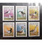 Венгрия. 1980 год. Фауна. Птицы (339)