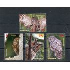 Румыния. Совы, вып.2013