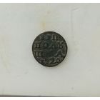 Полушка, 1720 год. Петр 1й.