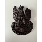 Польская кокарда Орлик