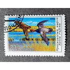 Марка СССР 1990 год Утки