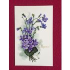 8 Марта! Куртенко 1971 г.