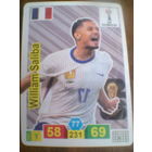 В.Салиба--Арсенал Англия--сб.Франция