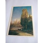 Открытка 1984г. Ф. Васильев. Тополя, освещенные солнцем.