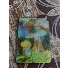 Календарик,стерео,гриб,1983