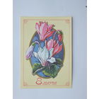 Куртенко 8 марта 1978   10х15 см