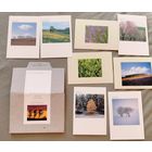 Почтовые открытки одним лотом Post Card Nature Collection 1990 Shinzo Maeda Takushinkan Japan