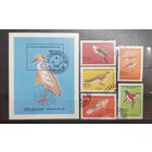 Мадагаскар. 1986 год. Фауна. Птицы. Блок и 5 марок (1045)