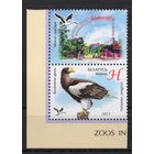 Беларусь 2013. Фауна. Птица Белоплечий орлан. 1 марка+купон 966 (662)