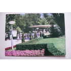 Кисловодск. Бювет нарзана; 1973, чистая.