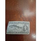 НЬЮФАУНДЛЕНД