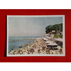 Сочи городской пляж 1960г.