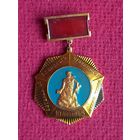 Ветеран 22 Одерского отдельного полка связи 6 армия