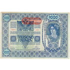 Австрия, 1000 крон, 1919 г.
