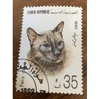 Йемен 1990. Домашние кошки. Марка из серии