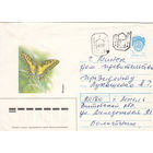 Провизорий. Беларусь. Лепель, Витебск. обл. 40 коп. + 55 коп. Простое письмо в Минск.