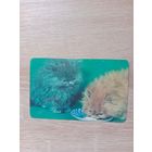 Календарик 1992