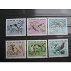 Марки - фауна, Вьетнам, птицы