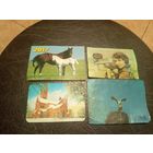 Календарики одним лотом