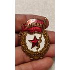 Значек знак Гвардия,200 лотов с 1 рубля!!!
