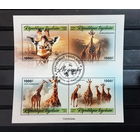 ФАУНА животные млекопитающие   БЛОК сто