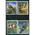 Нидерландские Антильские острова - 1958г. - птицы - 4 марки - полная серия, MNH, лёгкое пожелтение клея, 2 марки чистые, без клея [Mi 66-69]. #3-WB-101-KS-1