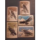 СССР 1965. Хищные птицы