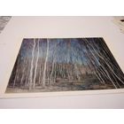 Открытка чистая. В. Бакшеев. Голубая весна.