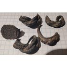 Уставшие, ложно витые, витые колечки.