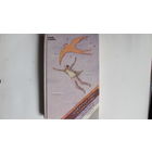 Краткий миг торжества