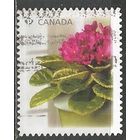 Канада. Цветы. 2010г. Mi#2594.