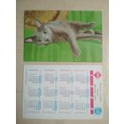 Карманный календарик. Кошки . 1996 год