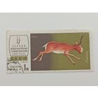 1974 СССР. 1-й Териологический Конгресс. Фауна. Животные.