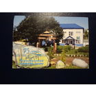 Календарик 2011 г. Осиповичский опытной лесхоз.  ?5 лет.