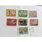 Монголия  1979  7м  дик.кошки