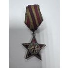 Знак героя срочной службы ссср с рубля