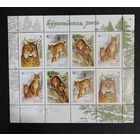 Марки Беларуси 2000 года МЛ Европейская рысь, WWF, фауна КМ 384/387, каталог2,9 евро