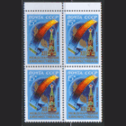 Заг. 5137. 1981. Международный кинофестиваль в Москве. КВАРТ, ЧиСт.