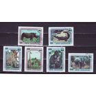 Марки ЦАР 1978  Слон, носорог, жираф, леопард и др. WWF.