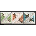 ФФ6 СССР 1966 Спорт