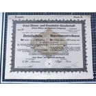 Акция, Otavi Mines and Railway Company, 5 акций, 1921