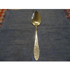 Столовая ложка МНЦ, Кольчугино